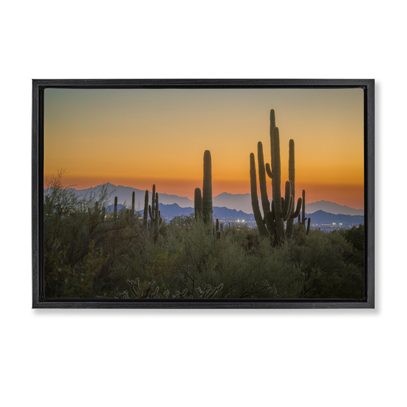 «Cacti Looming Sunset Floater» par Marty Hulsebos, Cadre flottant noir de jais, H 21 po x l 31 po