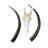 Tianey Trophy Sable Antelope Skull