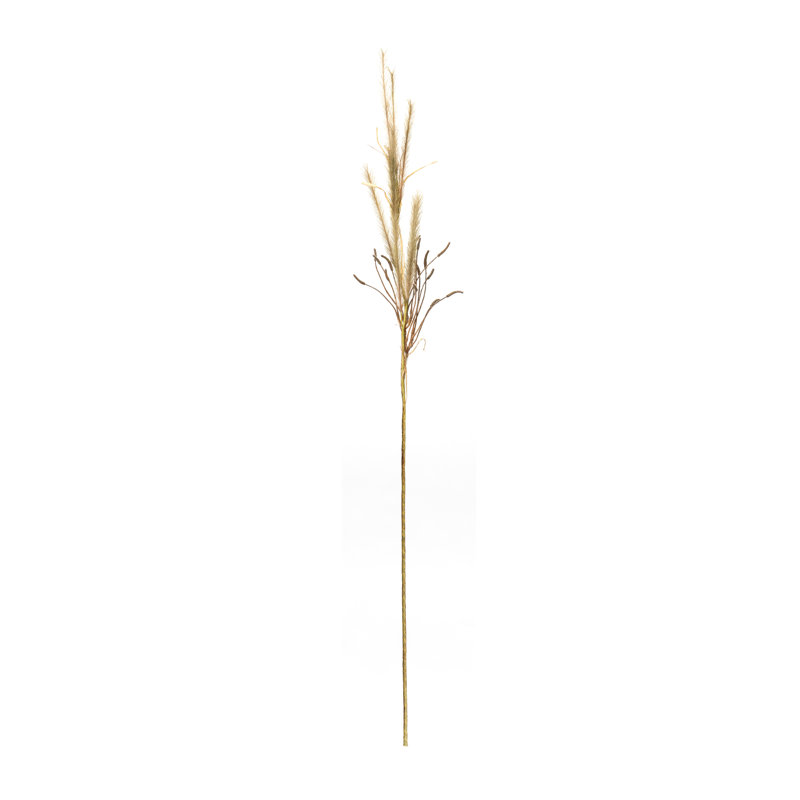 Herbe à sonnette (ensemble de 2)