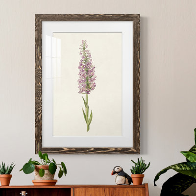 Mauve Garden Flowers I - peinture encadrée