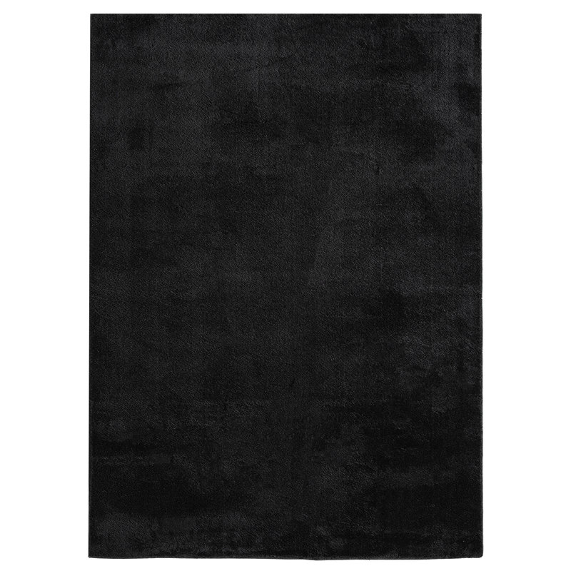 Taeler Washable Modern Living Room Rug Polyester - Anti-Slip Felt Backing Carpet Bedroom-Hallway, Black