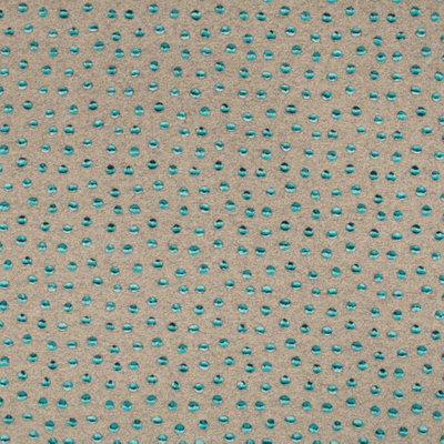 Festival Color Fabric