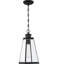 Lanterne suspendue d’extérieur 1 lampe noir mat Bednar