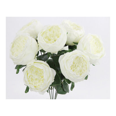 Buisson de roses en pleine floraison