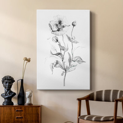 Wild Poppy Sketch -Custom Wrapped Gallery Cavas