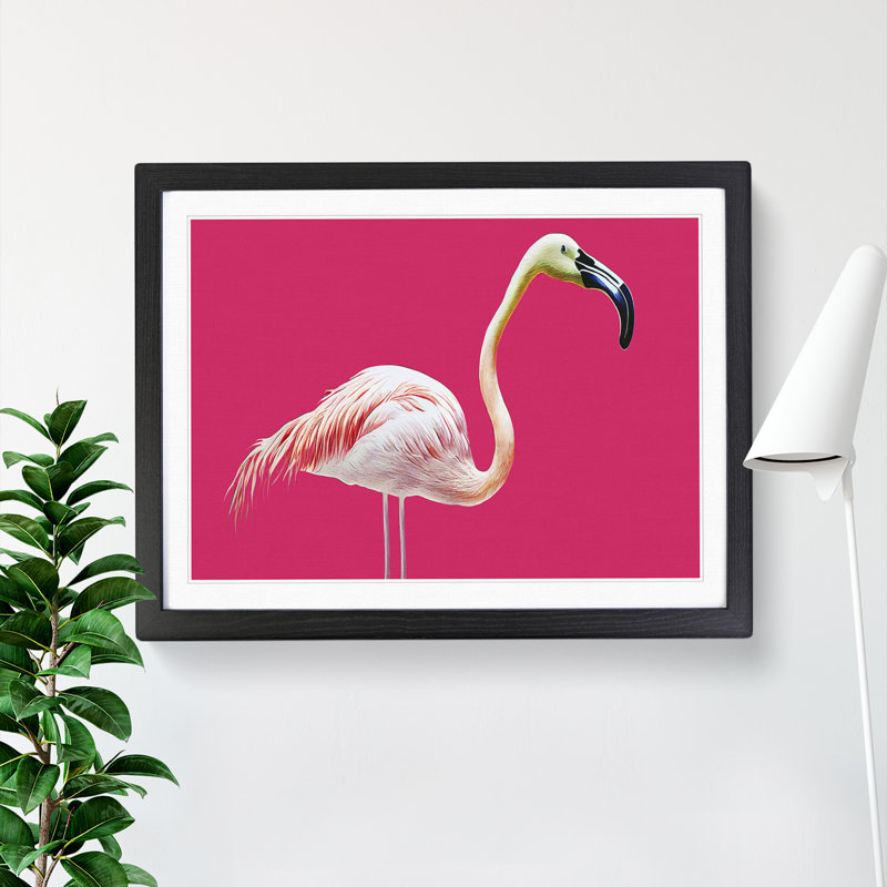 Tranquil Flamingo - Single Picture Frame Print, Black Framed, 46cm H x 64cm W x 2cm D