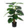 The Seasonal Aisle Faux Dieffenbachia Plant Plant | Wayfair.co.uk