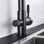 Belfry Kitchen Armana Kitchen Faucet