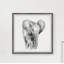«Knepp Lonely Elephant», reproduction encadrée-1821842399