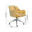 Pridbjorn Velvet Office Chair-601681774