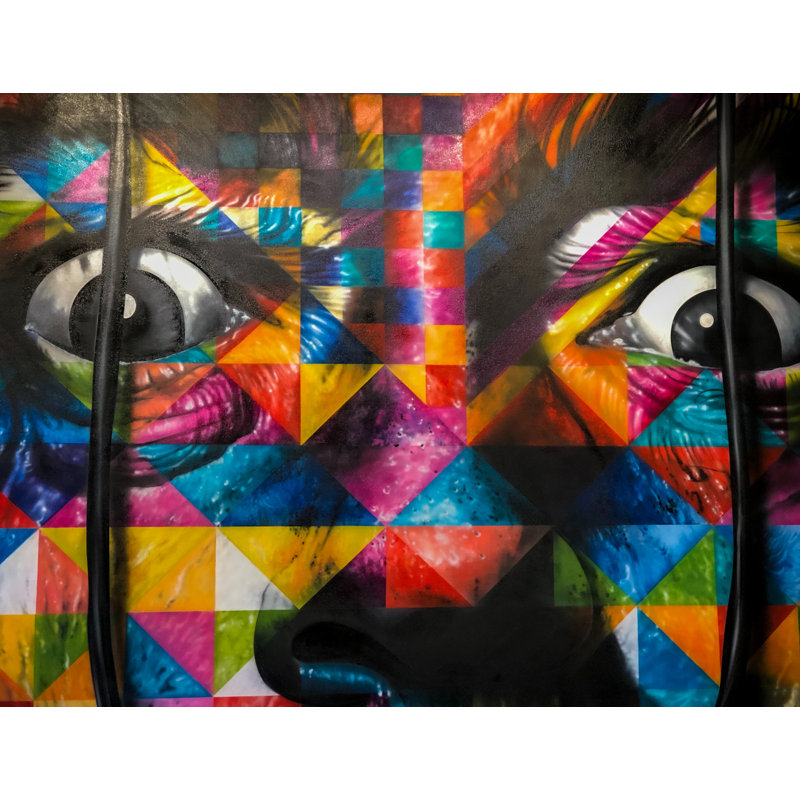 Visage coloré, barres de cintrage, art de rue, H 16 po x l 24 po x P 1,5 po
