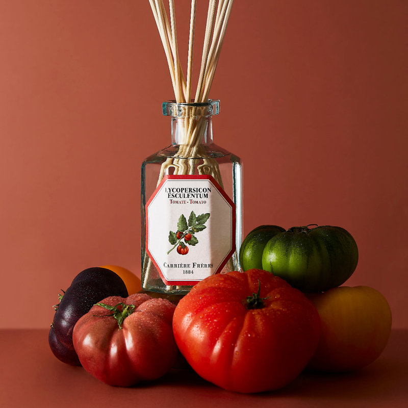 Fruits Diffuser, Tomato