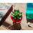 5'' Faux Succulent Plant in Planter