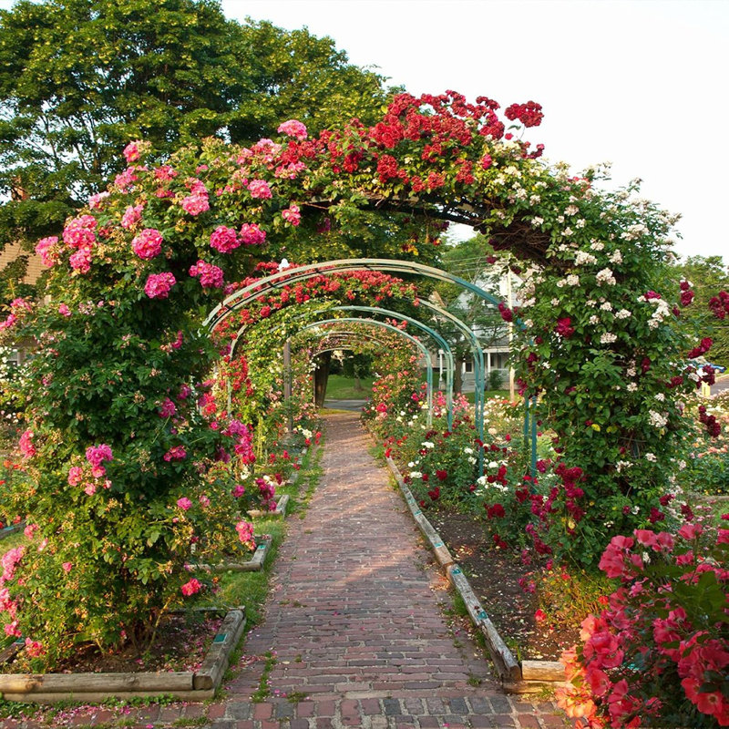 Arche de jardin en métal, décoration de mariage et d'évènement ...