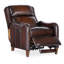 Carrington Power Recliner w/Power Headrest-480967404