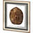 Tortoise Shell Detail II by Naomi McCavitt a Framed Art Print Matted under Glass