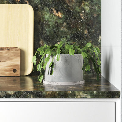Alexandrea Marengo Pot