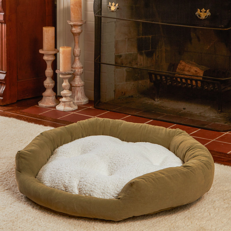 Lit pour chien Chamari Donut, Mousse, Moyen (l 32 po x P 32 po x H 8 po)