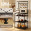 Storage Shelf-1702338984