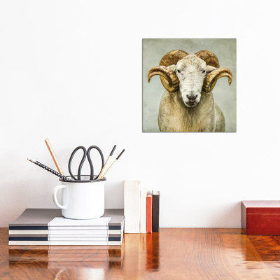 " Stare " Print