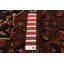 Tapis rectangulaire unique en laine 3 pi 11 po x 6 pi 2 po Atta Atta