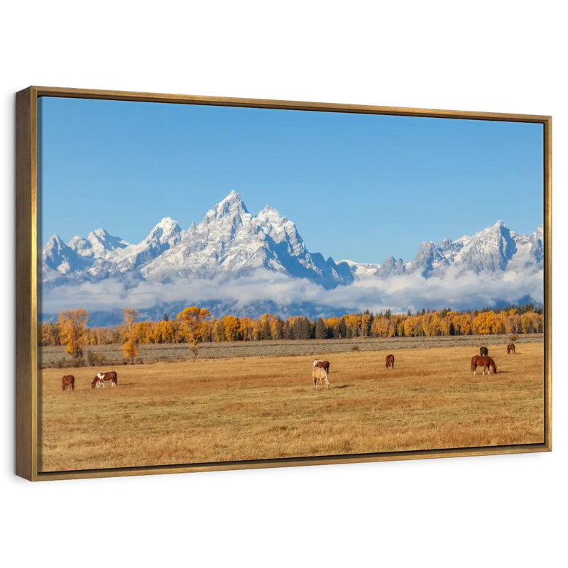 Grand Teton, scène d'automne, 46 po x 31 po, Cadre flottant doré