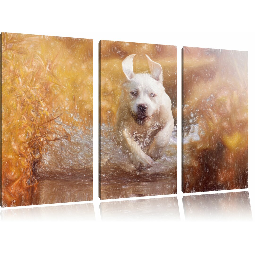 3-tlg. Leinwandbilder-Set „Labrador-Welpe rennt durch das Wasser eines Flusses“, Grafikdruck