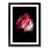 Black Framed selected