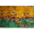 Antique Large Chinese - Art Deco Knotted Rug exquisite