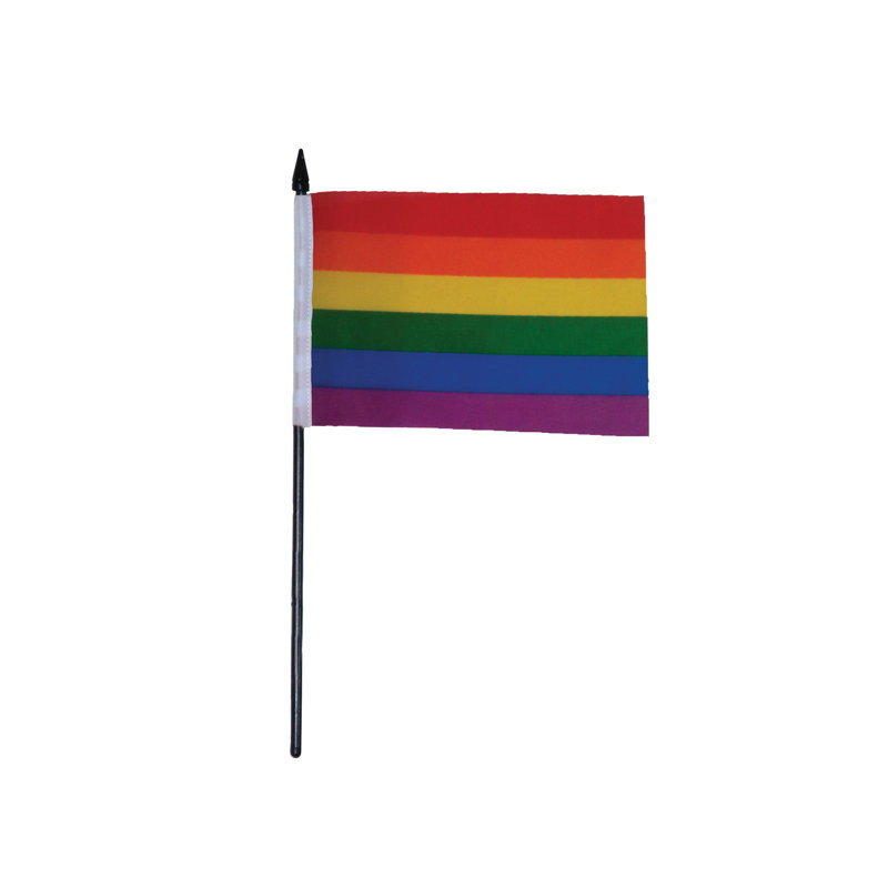 Drapeau imprimé à main arc-en-ciel, H 10,5 po x l 6 po