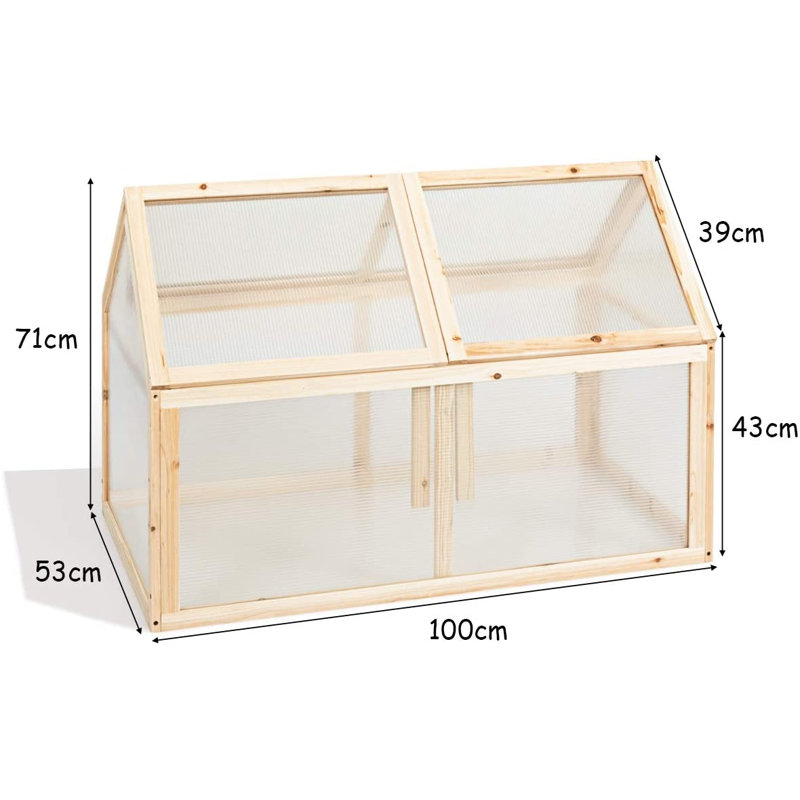 Walburg 3 Ft W x 2 Ft D Mini Greenhouse