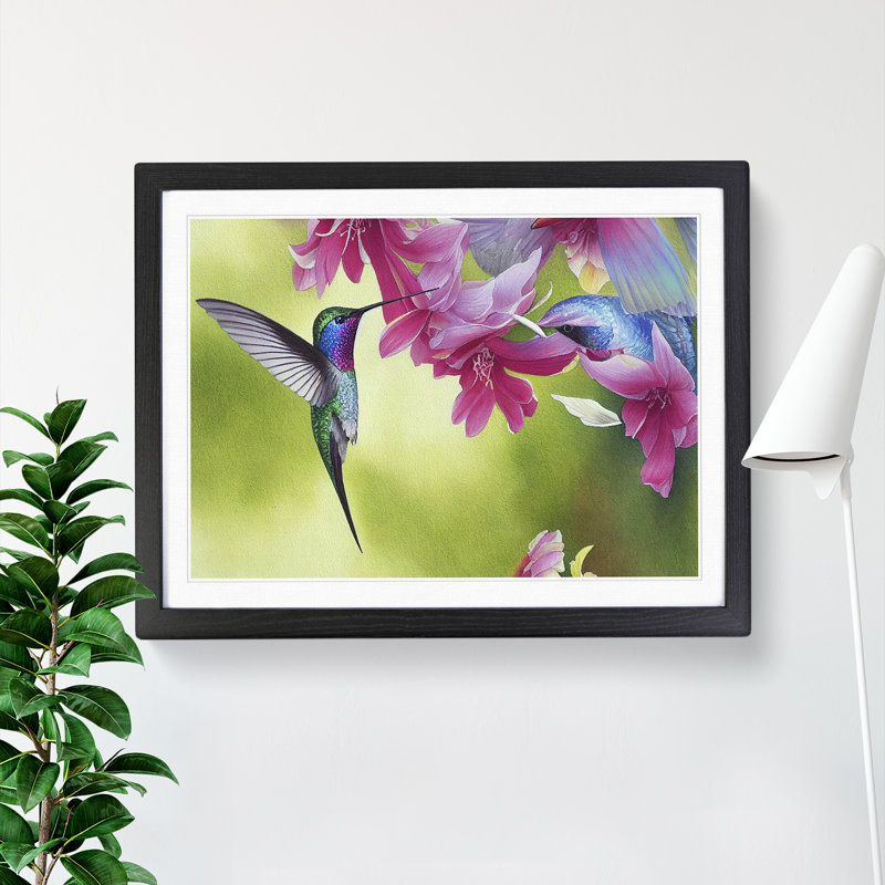 Hummingbird Vol.1 - Single Picture Frame Print, Black Framed, 25cm H x 34cm W x 2cm D