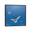 « arctique tern ii », reproduction de photo sur toile-18776110-74282106-74282107