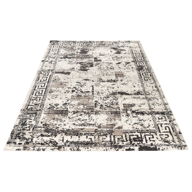 Wexler Oriental Area Rug, Rectangle 120 x 170cm