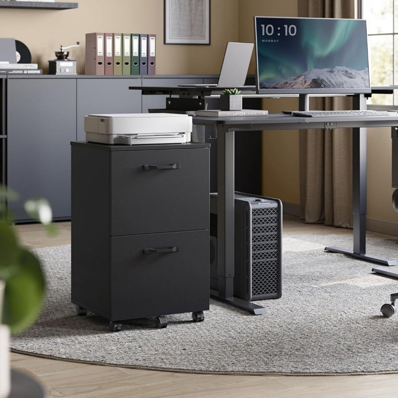 42 cm W 2 -Drawer Filing Cabinet, Black