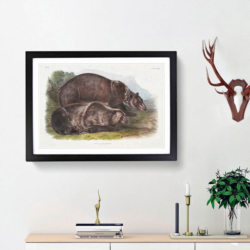 Grizzly Bears by J.W. Audubon - Picture Frame Painting Print, 48cm H x 65cm W x 2cm D, Black Framed