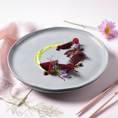 Dust Commercial Dishwasher Safe 10.8'' Stoneware Dinner Plate , Set of 6