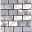 0.5" x 1" Seashell Mosaic Tile in Natural