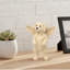Figurine de chien ange en résine