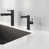 Noir mat