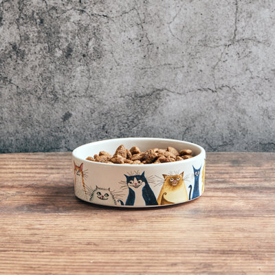 From Wags to Whiskers Cat Bowl
