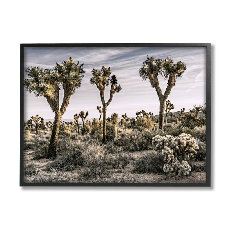 Désert cactus par Rachel Perry, H 24 po x l 30 po x P 1,5 po, Giclée encadrée noir minuit
