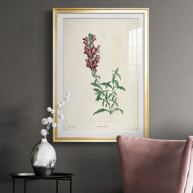 " Traditional Botanical I ", 36.5" H x 26.5" W x 1" D, Gold