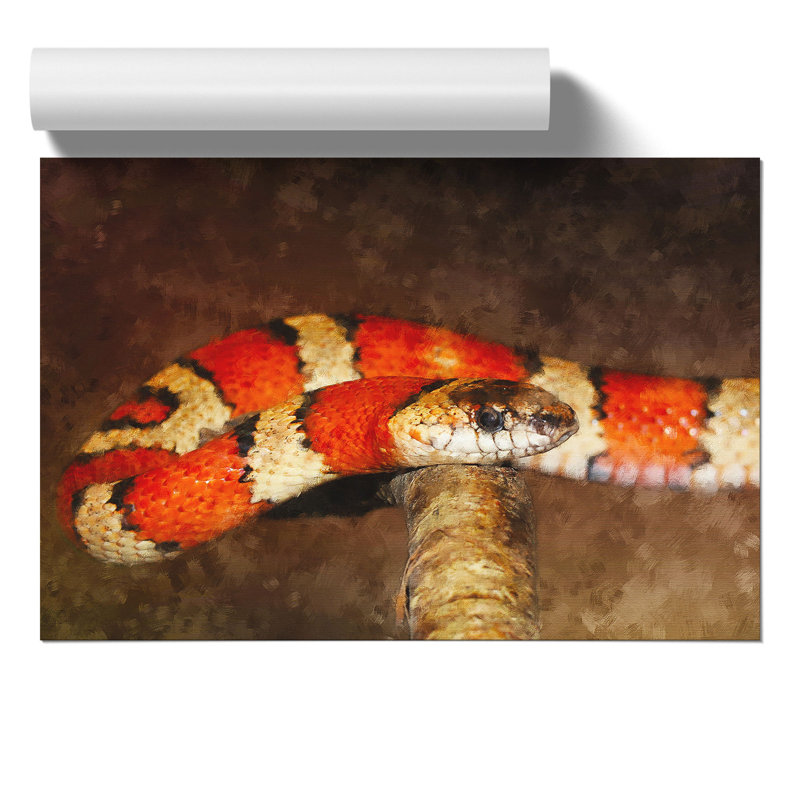 King Snake - No Frame Print, 21cm H x 30cm W x 0.1cm D