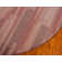 Cotati Abstract Indoor Rug