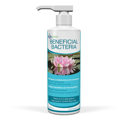 Beneficial Bacteria for Ponds