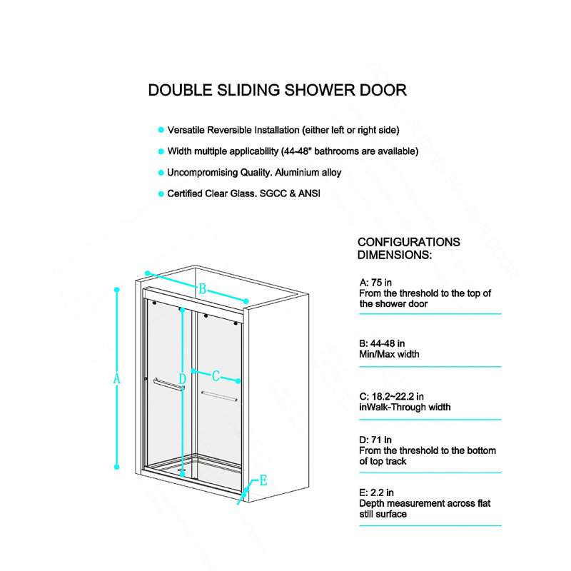 Double Sliding Shower Door