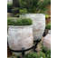 Mediterranean Fibreglass Planter-27790014