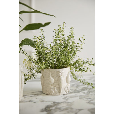 Pot à légumes