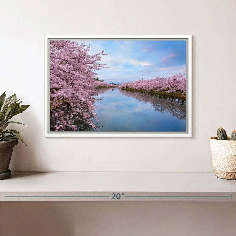 Fleur de cerisier en pleine floraison, Cadre flottant blanc, 13 po x 9 po